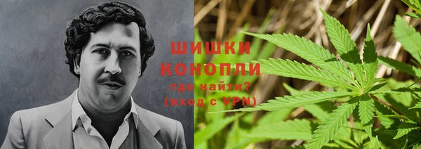 молекула духа Навашино