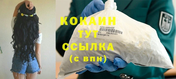 мдпв Надым