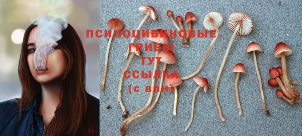 молекула духа Навашино