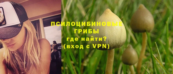 молекула духа Навашино