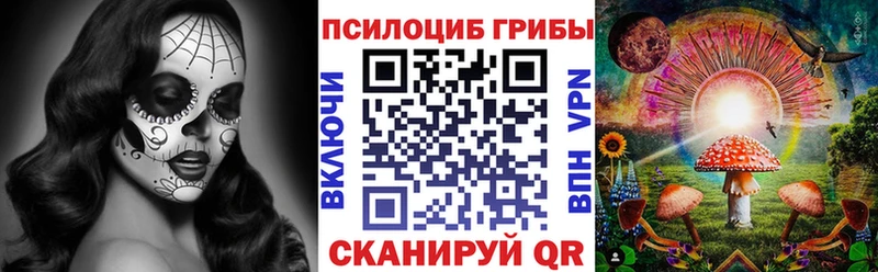 Купить  Спас-Деменск  Галлюциногенные грибы Psilocybine cubensis 